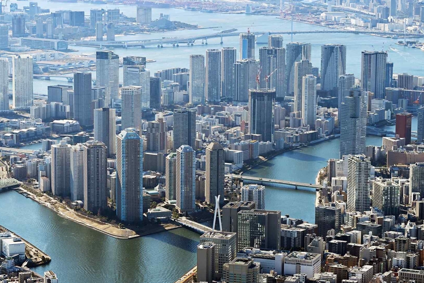 'Con sot' can ho Tokyo ha nhiet hinh anh