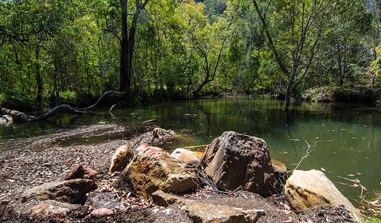 Australia,  Sydney anh 7