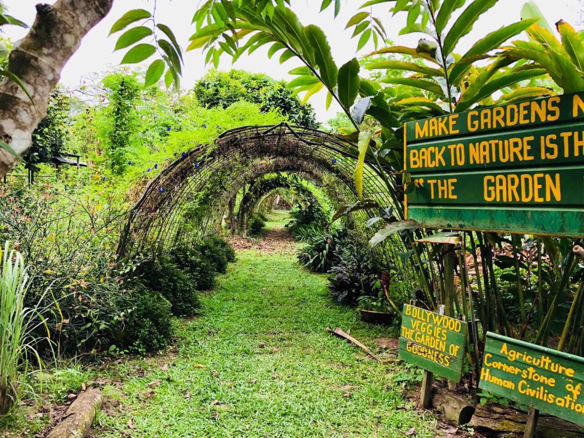 Trang trại  ảnh 7 Trang trai anh 7