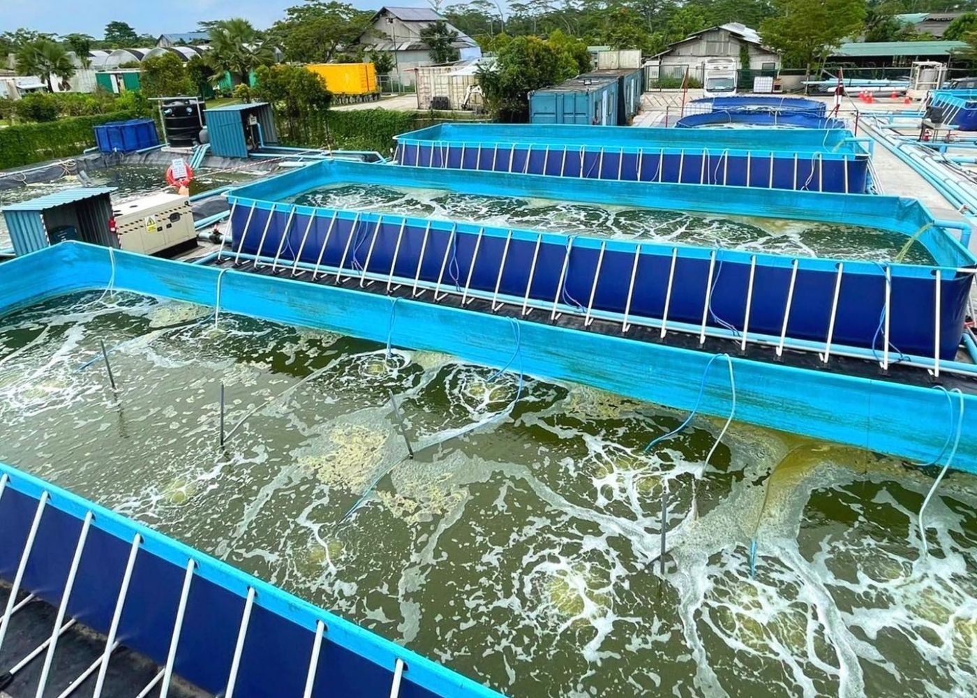 Trang trại  ảnh 1 Trang trai anh 1