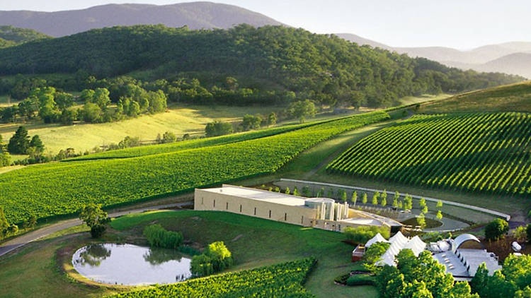 Du lich Australia anh 1