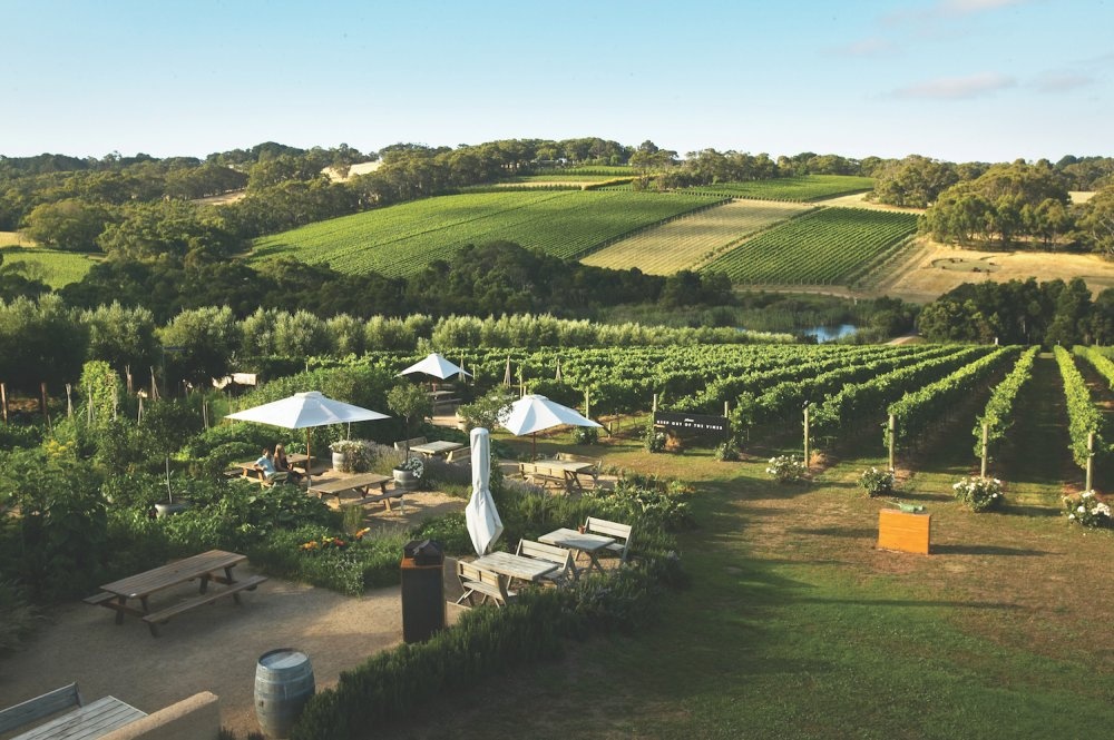 Du lich Australia anh 5