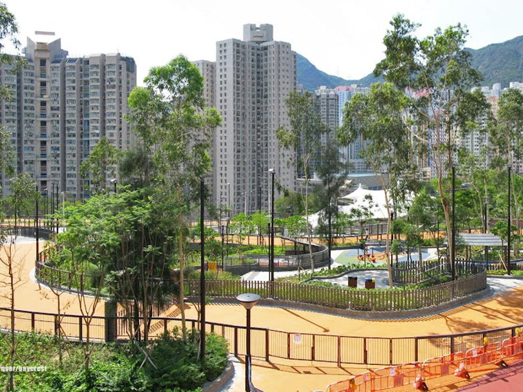 Dap xe Hong Kong anh 5