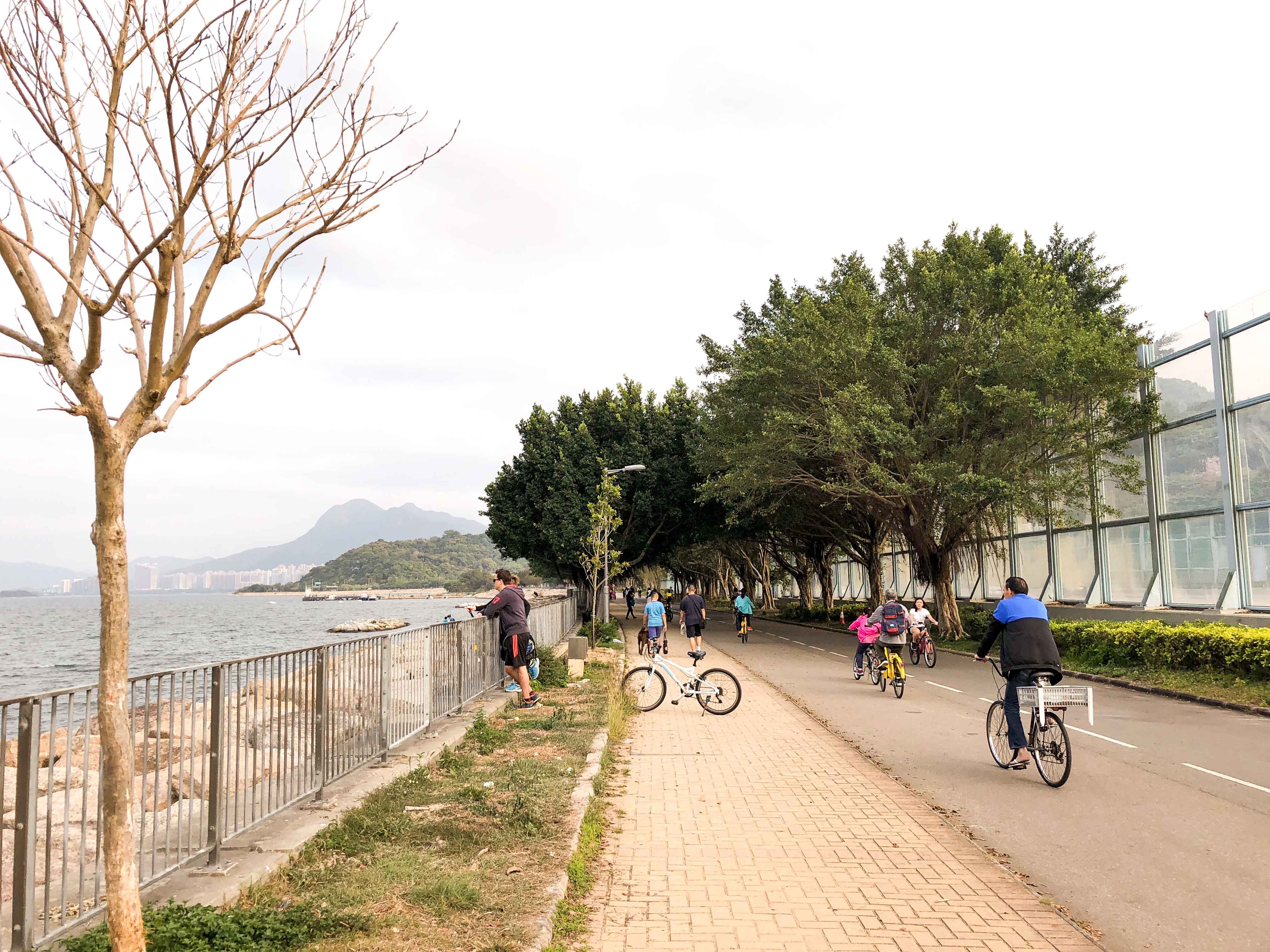 Dap xe Hong Kong anh 4