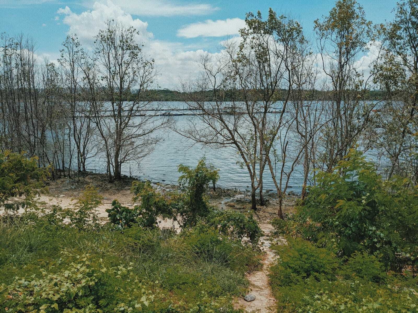 Bai bien o Singapore anh 9