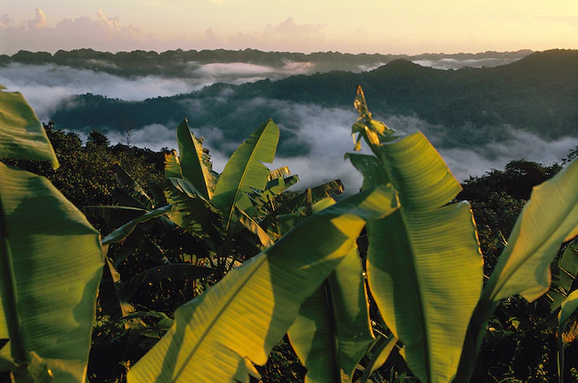 Du lich Puerto Rico anh 3