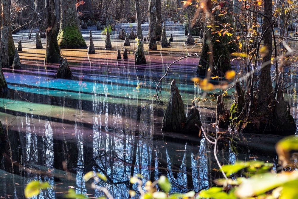 Xu so than tien o dam lay cau vong dep nhat the gioi hinh anh