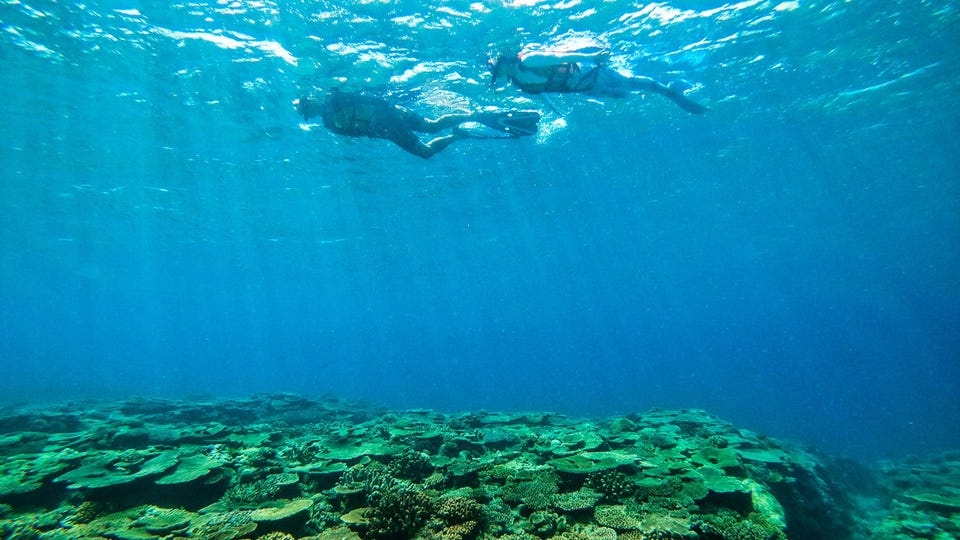 Du lich Nhat Ban,  Ca he anh 2