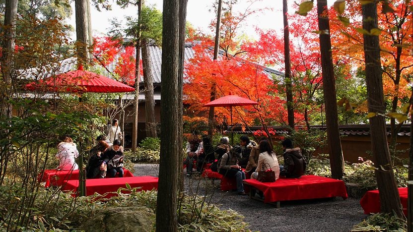Di sản Thế Giới,  UNESCO,  Chùa vàng Kinkakuji. ảnh 3 Di san The Gioi,  UNESCO,  Chua vang Kinkakuji. anh 3