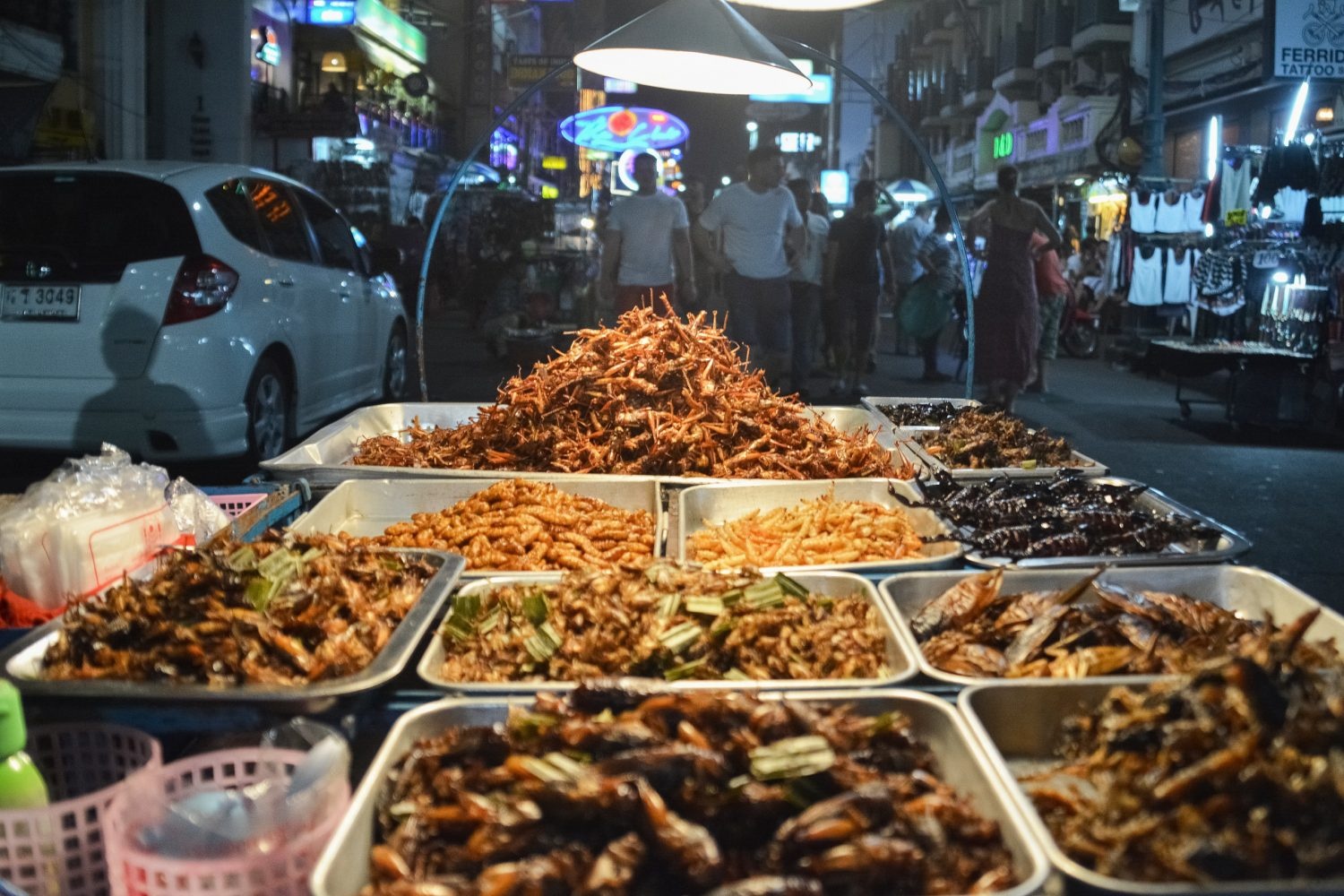 Thuc pham con trung,  An con trung,  Dinh duong anh 1