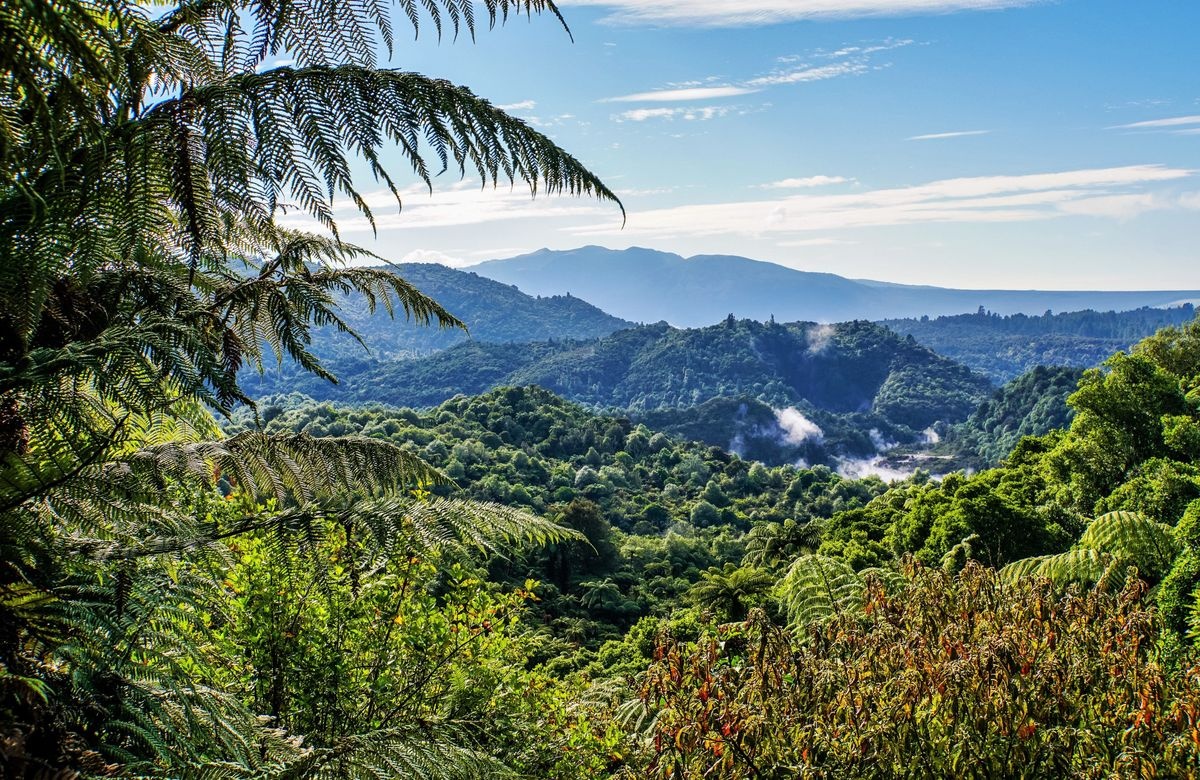 Ho nuoc nong,  Ho Frying Pan,  Suoi nuoc nong lon anh 9