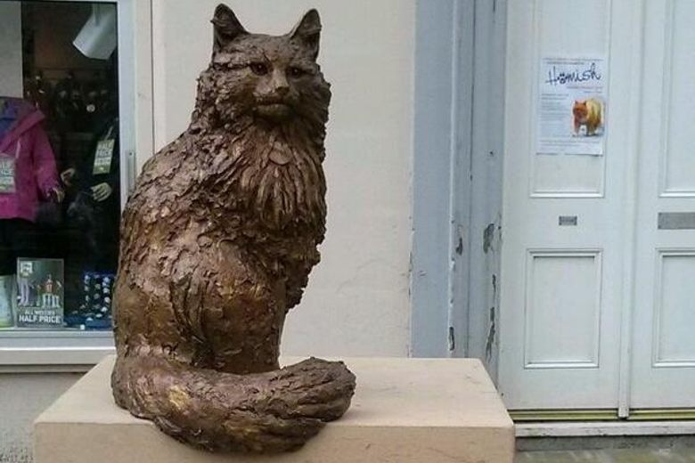 Tuong meo noi tieng,  Du lich chau A,  Tet Nguyen Dan,  Tet Quy Mao anh 1