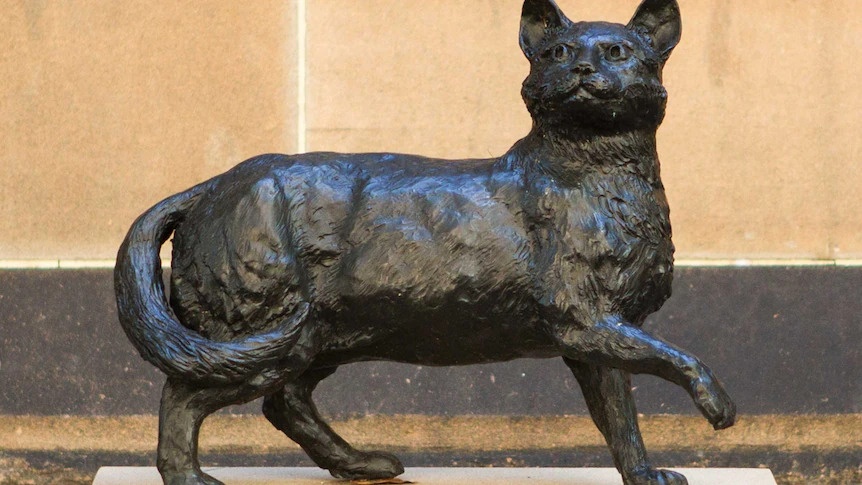 Tuong meo noi tieng,  Du lich chau A,  Tet Nguyen Dan,  Tet Quy Mao anh 5