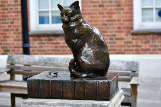 Tuong meo noi tieng,  Du lich chau A,  Tet Nguyen Dan,  Tet Quy Mao anh 7