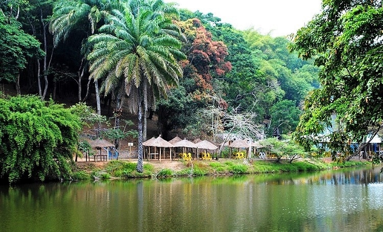 Du lich hang sang,  Canh dep,  Dong vat hoang da,  Safari anh 10