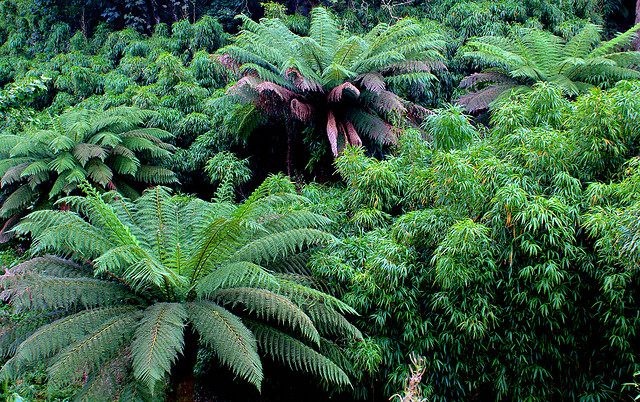 Du khach,  Khu vuon lang quen,  My,  Du lich Anh anh 4