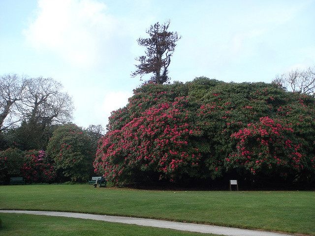 Du khach,  Khu vuon lang quen,  My,  Du lich Anh anh 3