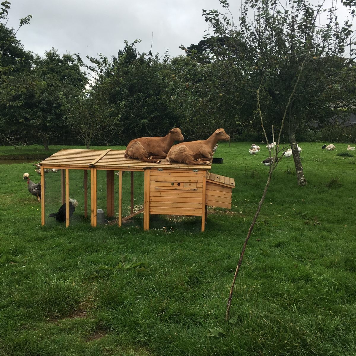 Du khach,  Khu vuon lang quen,  My,  Du lich Anh anh 9