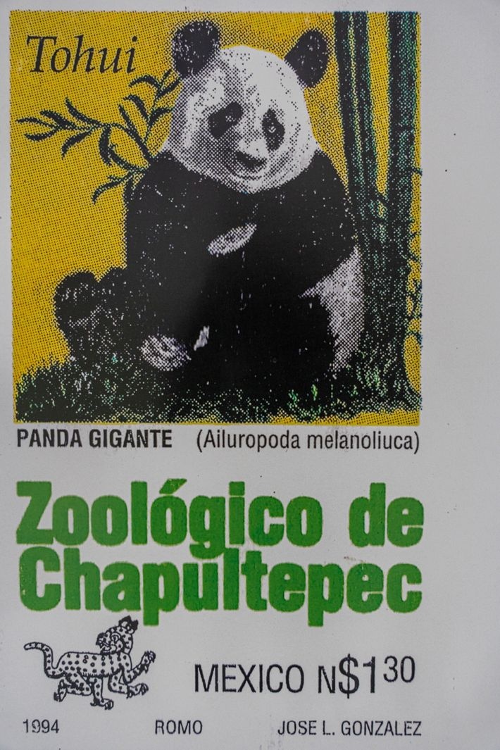 Du lich Mexico,  Gau truc Mexico,  Gau truc Xin Xin anh 15