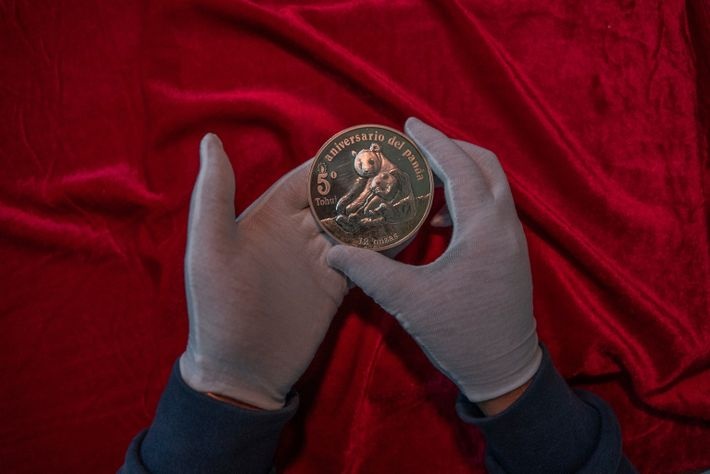 Du lich Mexico,  Gau truc Mexico,  Gau truc Xin Xin anh 11