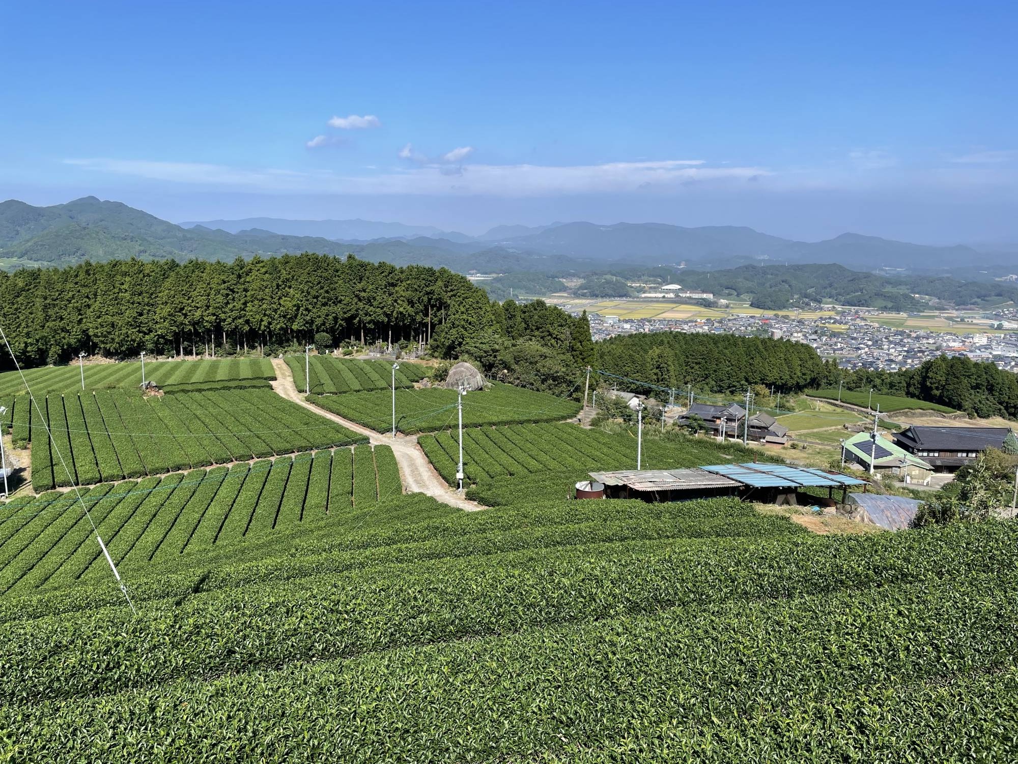 Du lich Nhat Ban,  Du khach,  Thanh dia tra xanh anh 1