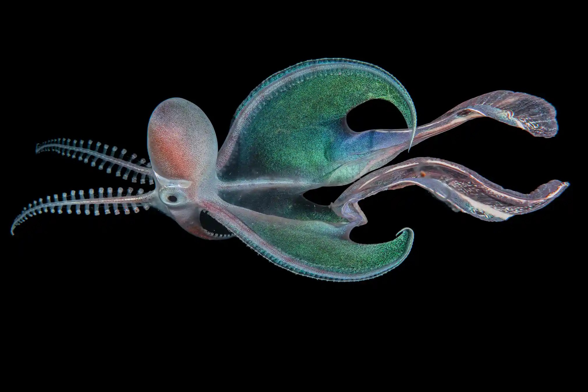 Du lich My,  Du lich trung Quoc,  thien nhien tuoi dep anh 7