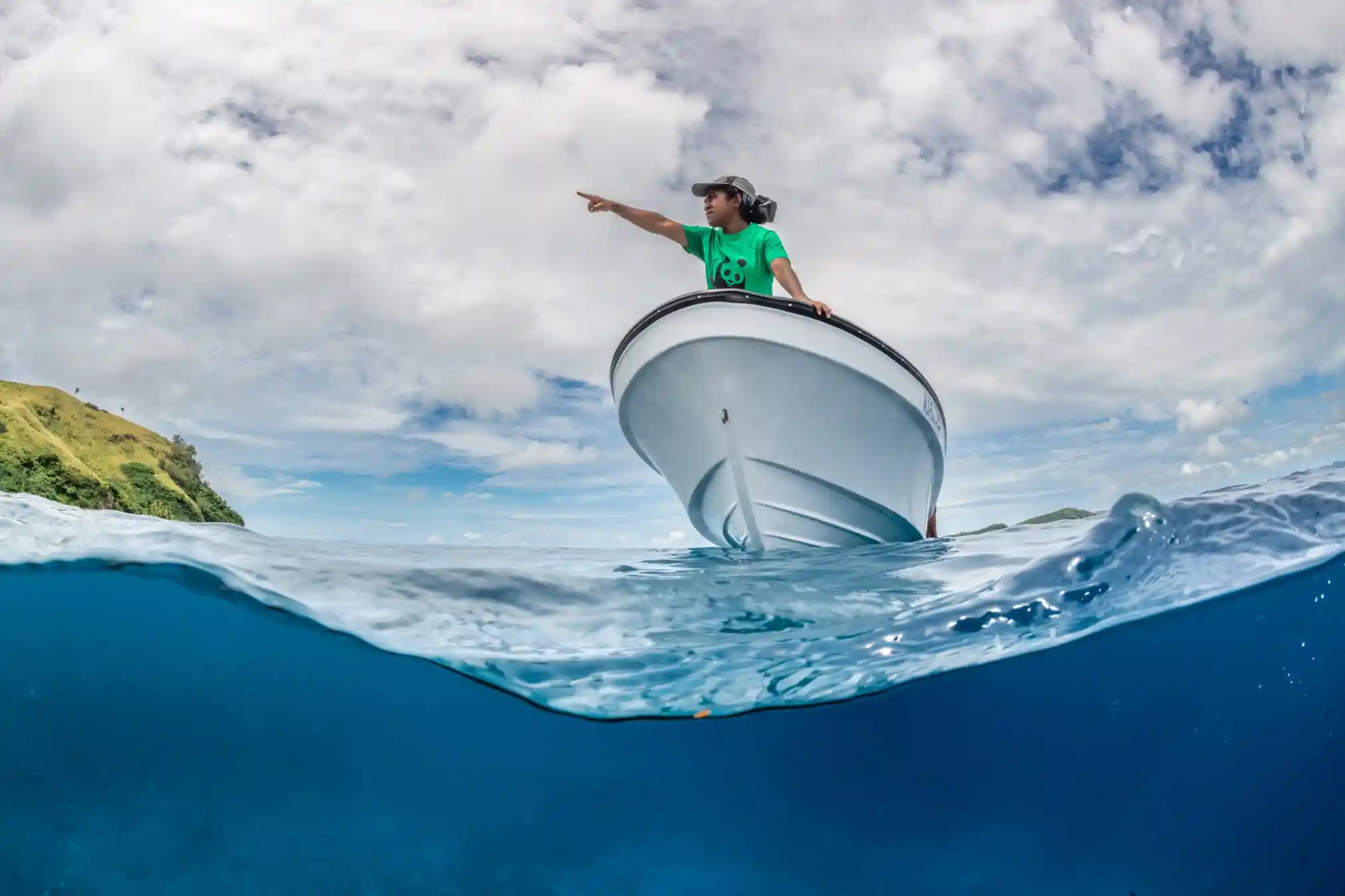 Du lich dao,  Dao Fiji,  Bao ton moi truong,  Du lich bien,  Bao ve rua bien anh 2