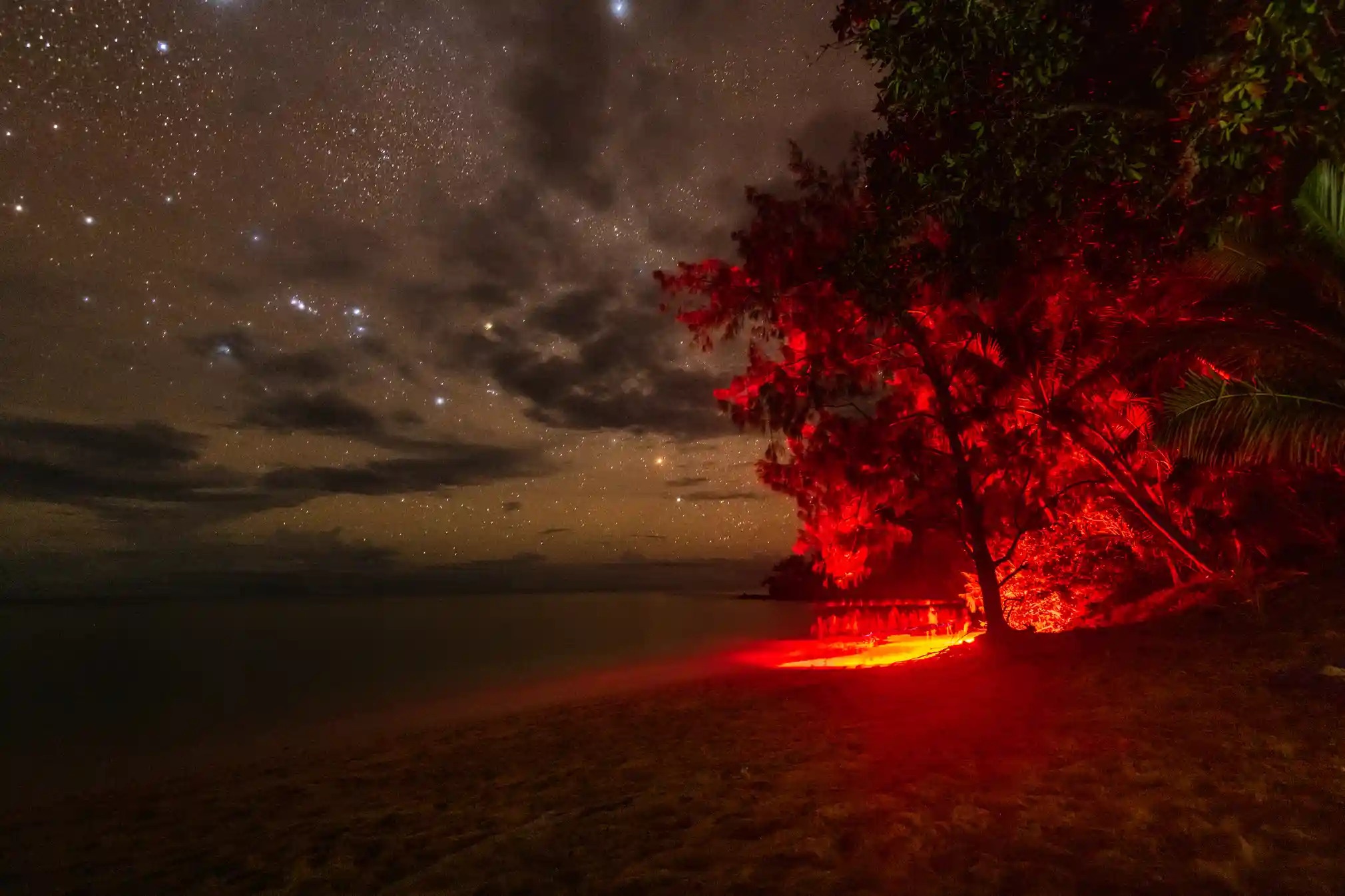 Du lich dao,  Dao Fiji,  Bao ton moi truong,  Du lich bien,  Bao ve rua bien anh 4