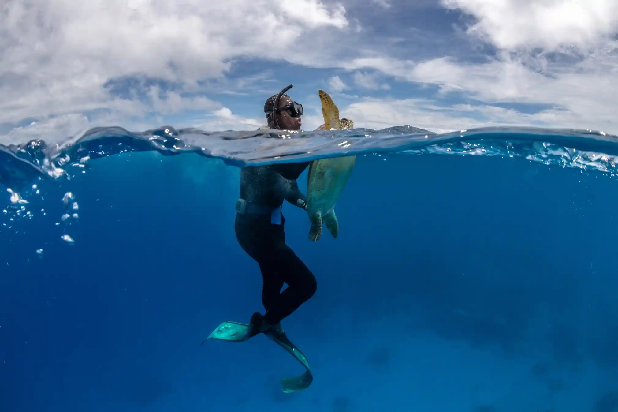 Bao ton rua bien o quoc dao Fiji hinh anh