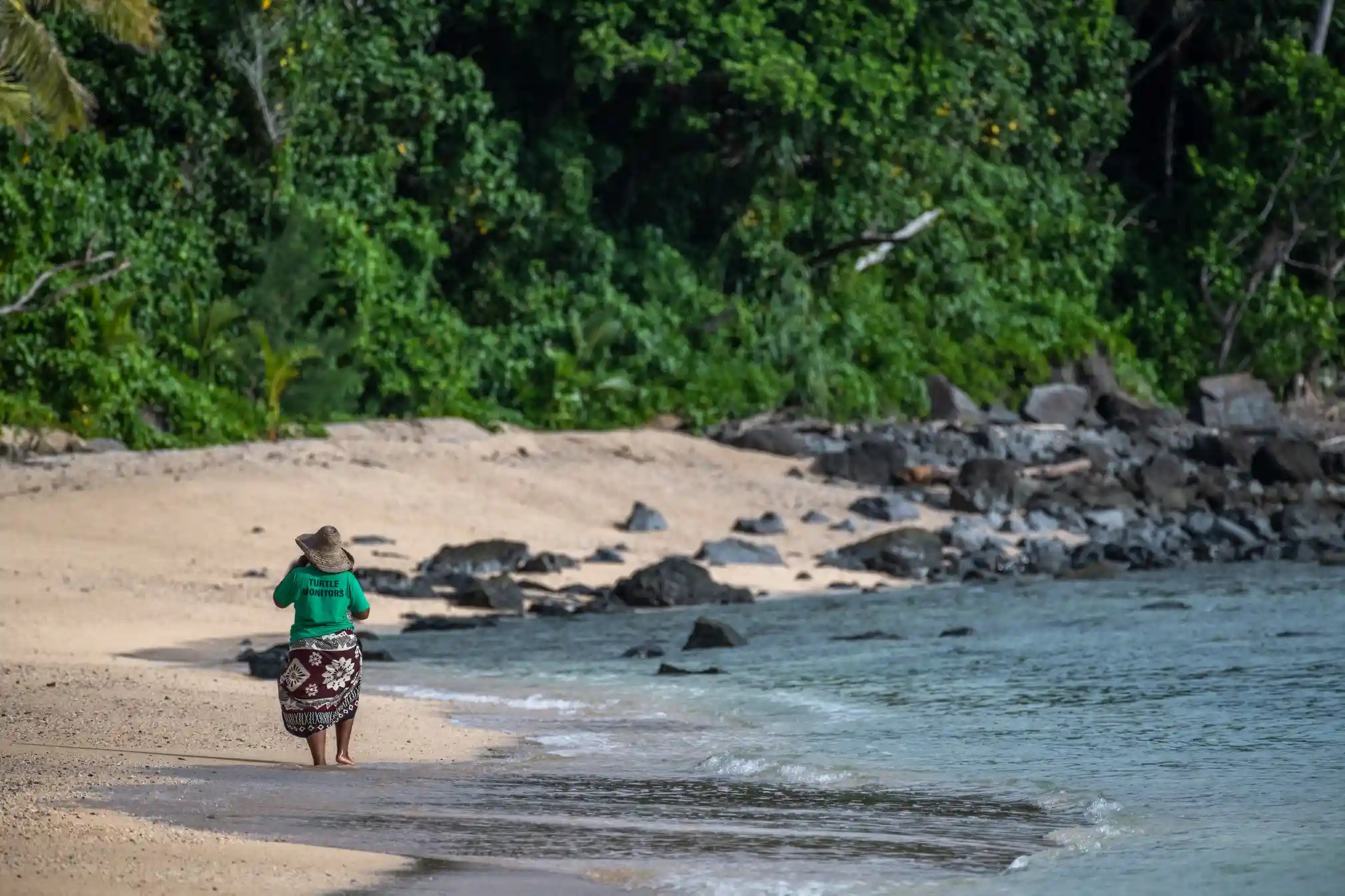 Du lich dao,  Dao Fiji,  Bao ton moi truong,  Du lich bien,  Bao ve rua bien anh 9