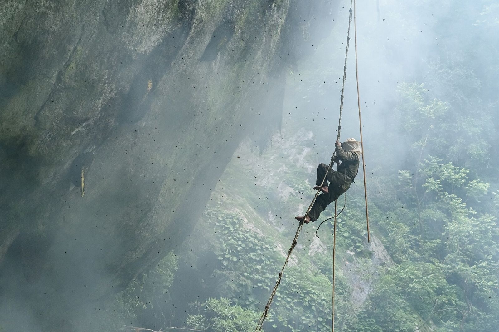 Hanh trinh san mat loai ong lon nhat the gioi o Nepal hinh anh