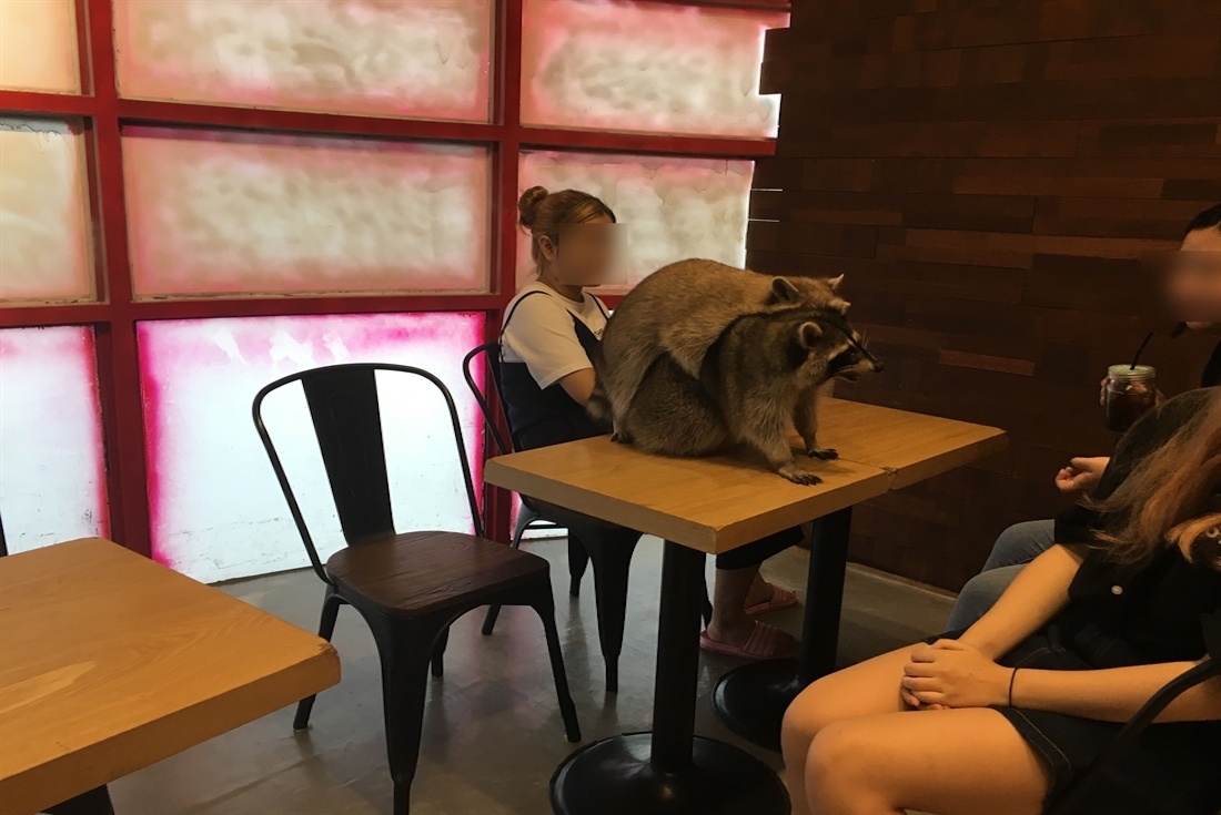 Lenh cam bi moi nguoi ghet o Han Quoc hinh anh