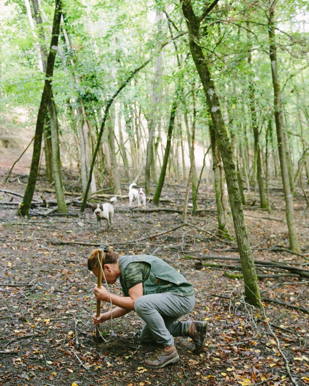 Trai nghiem am thuc anh 16
