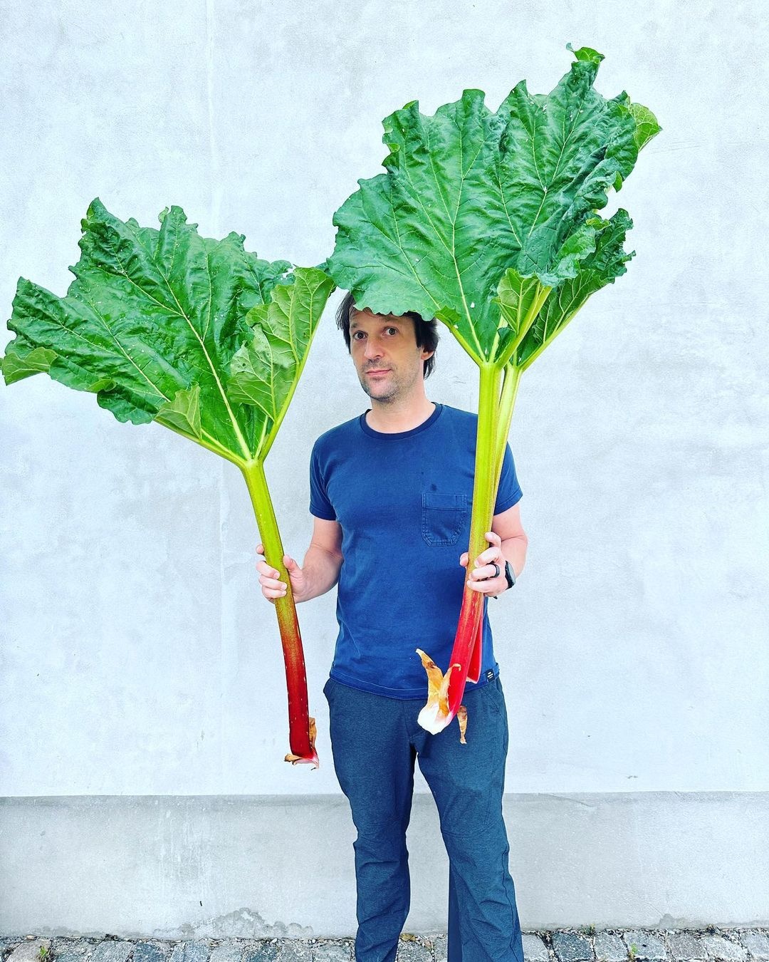 sang tao am thuc anh 1