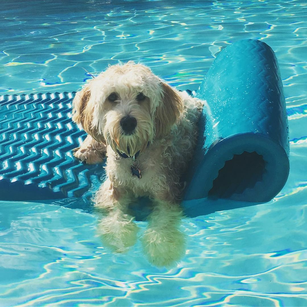 Người nổi tiếng du lịch ảnh 6 Nguoi noi tieng du lich anh 6