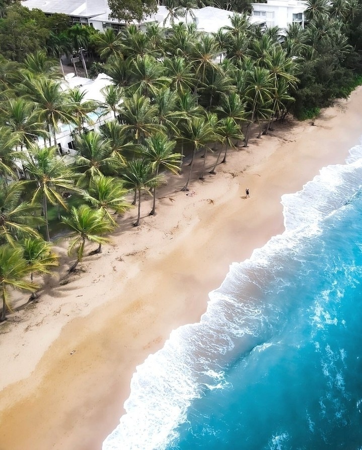 Bai bien Palm Cove anh 1