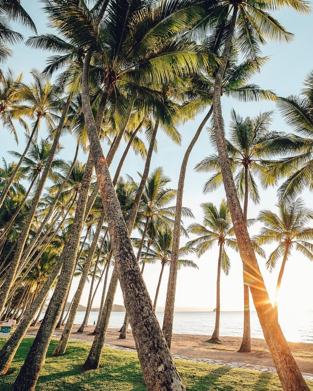 Bai bien Palm Cove anh 2