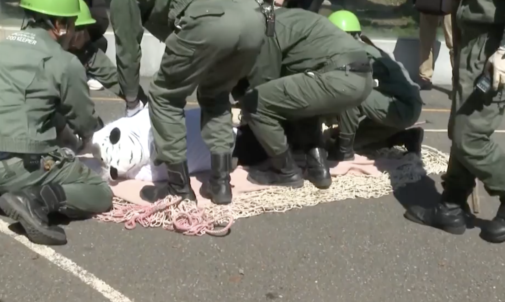 Ho xong chuong anh 2