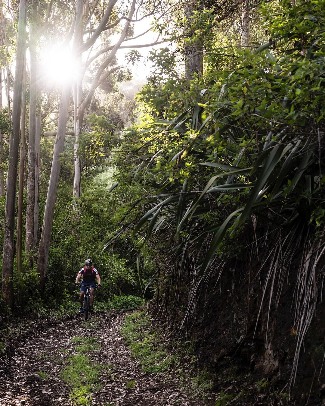 Hon dao xa xoi anh 3