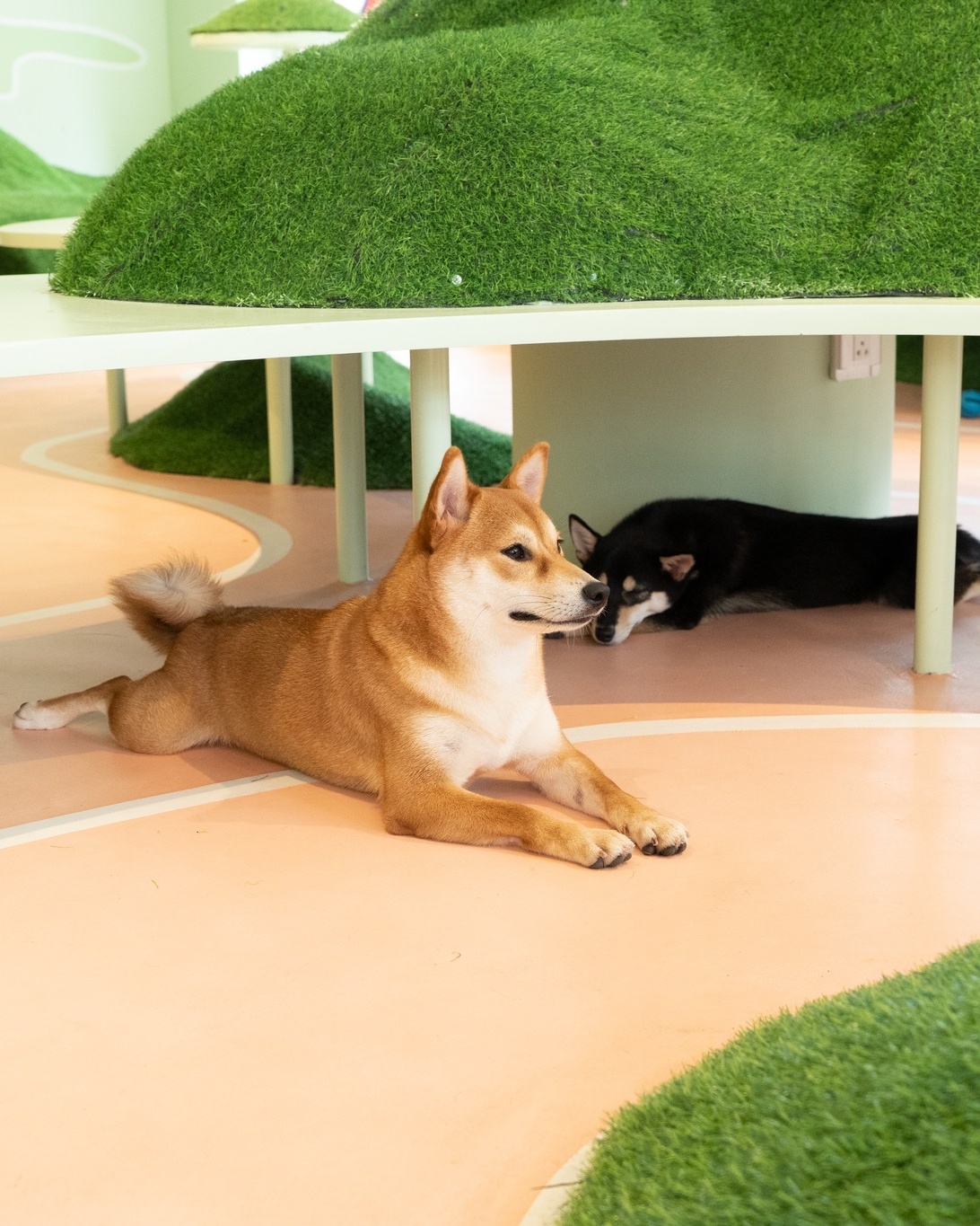 Quan ca phe moi anh 18