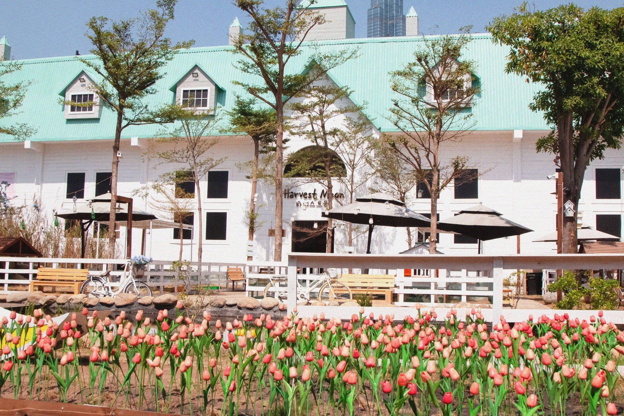 Quan ca phe moi anh 11