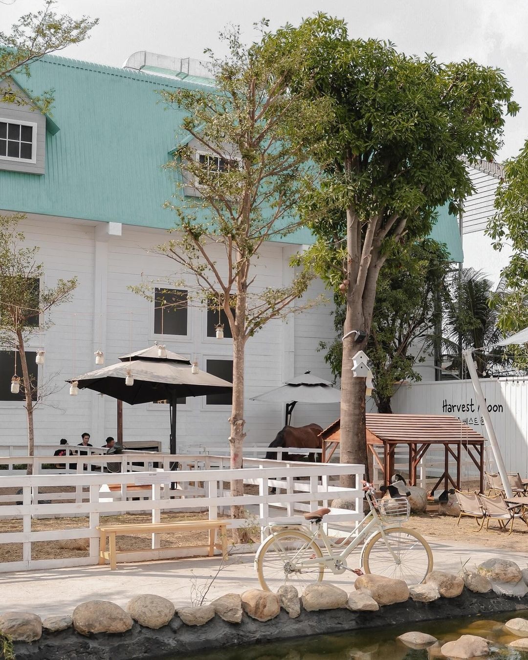 Quan ca phe moi anh 13