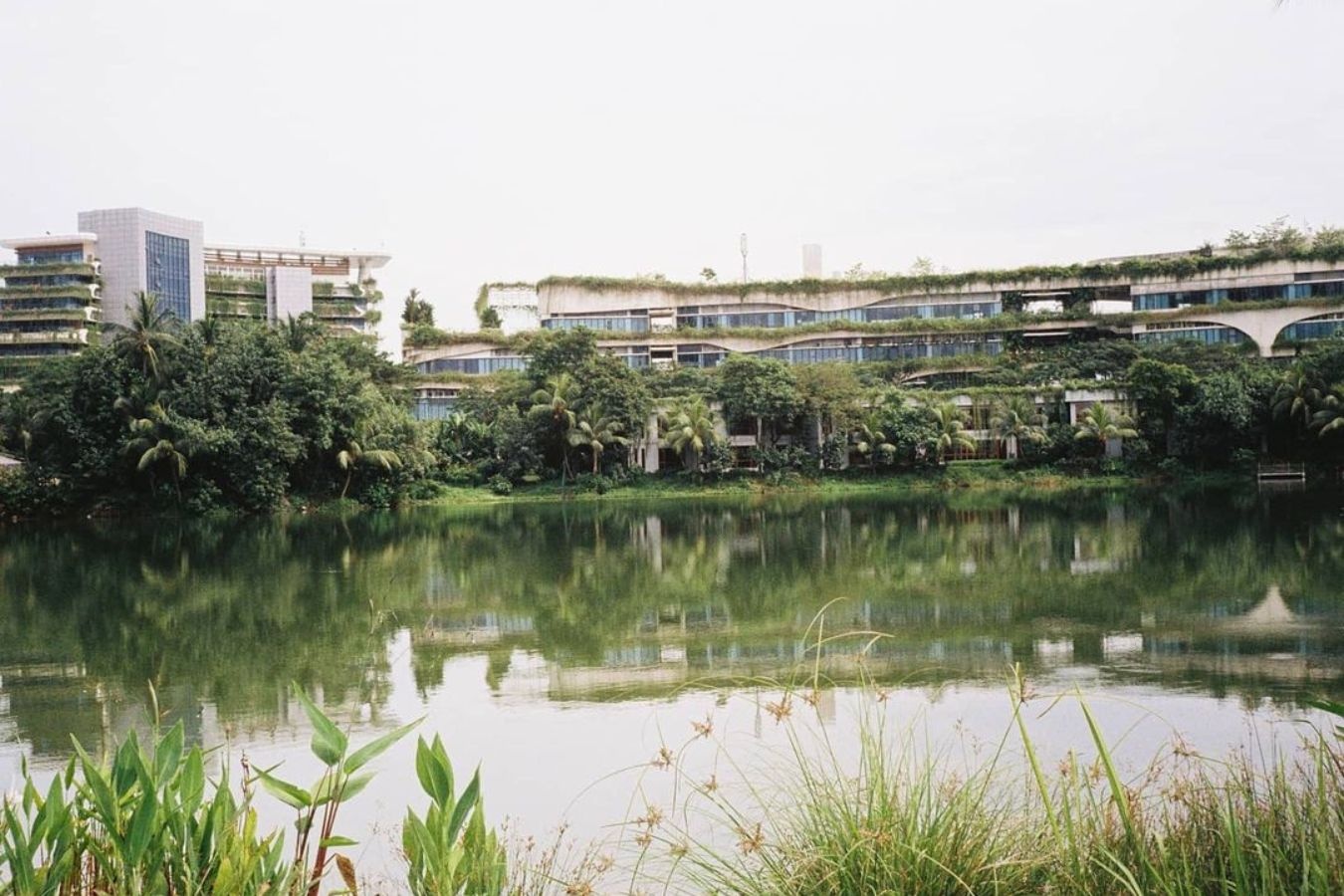 Khach khong muon chi mot xu tai do thi ty USD o Malaysia hinh anh