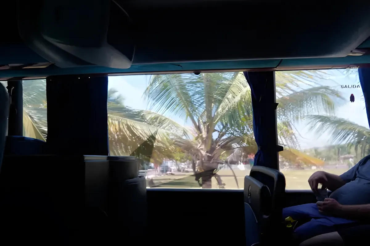 Wonder of the Seas anh 9