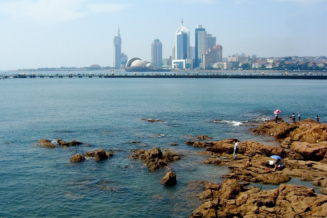 Suyt chet chim vi chup anh roi ngu quen tren bai bien tai Trung Quoc hinh anh