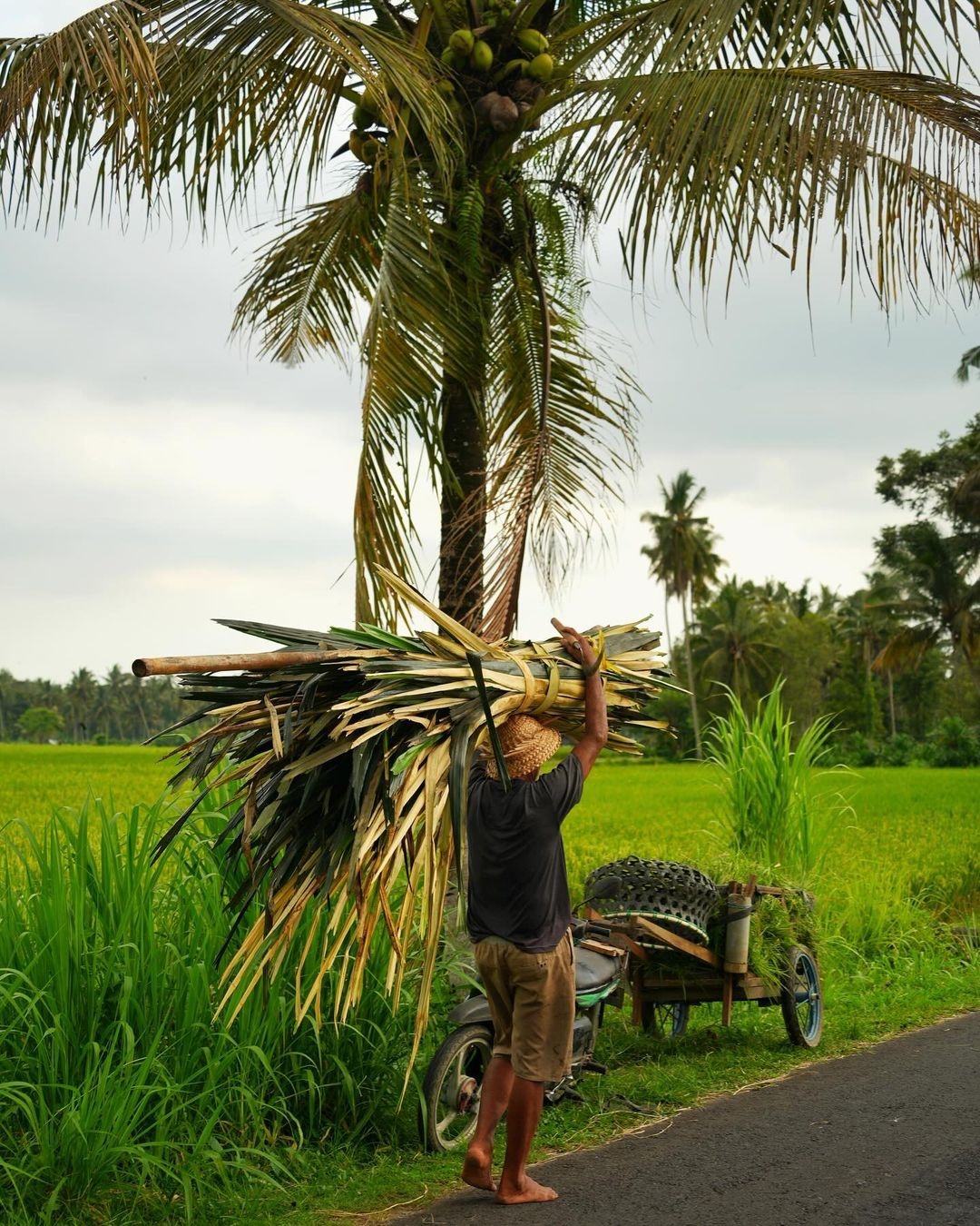Du lich Bali anh 1