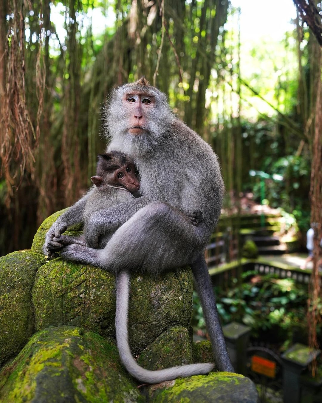 Du lich Bali anh 3