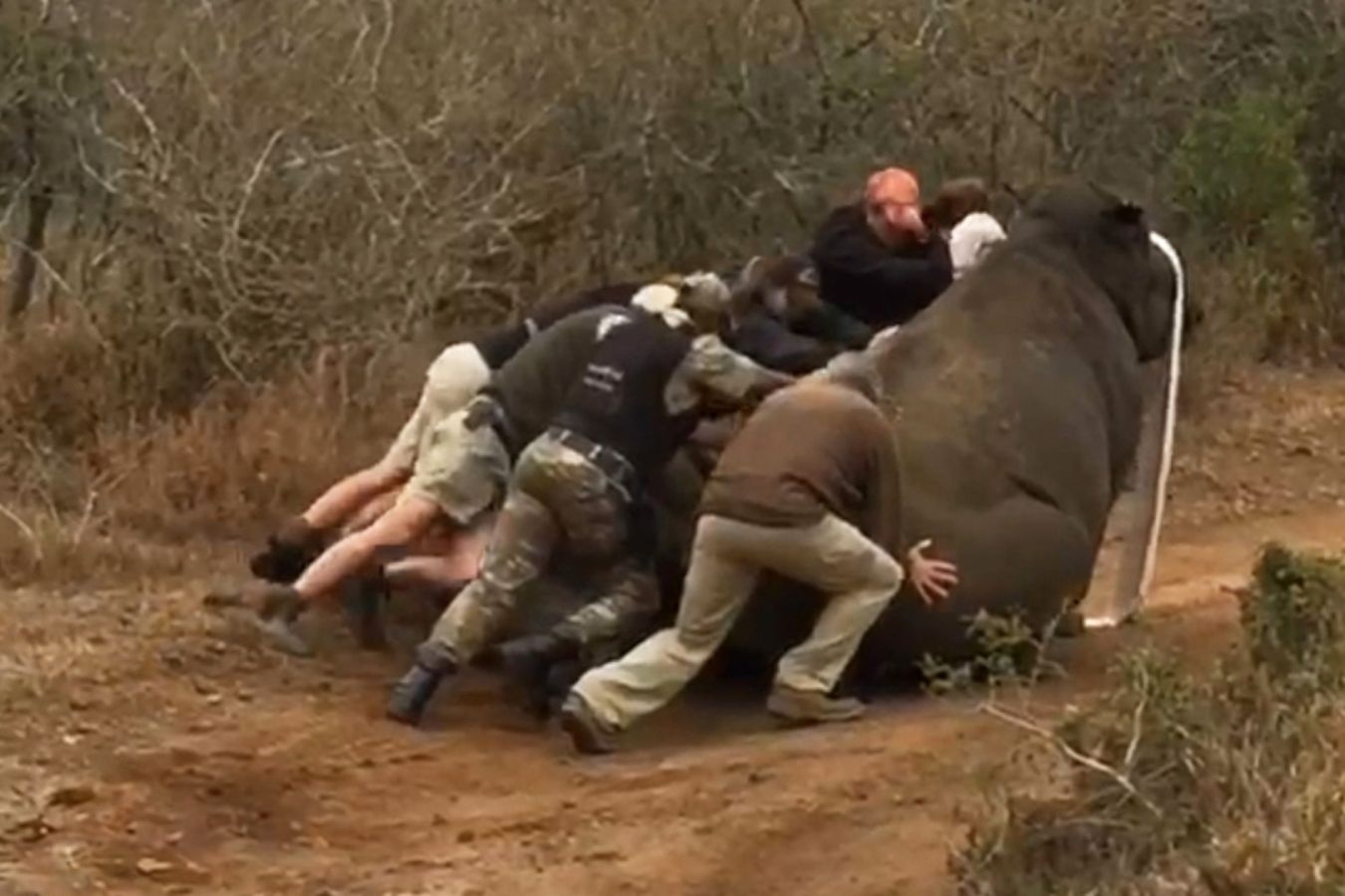 Giai cuu te giac 2 tan suyt de trung con hinh anh