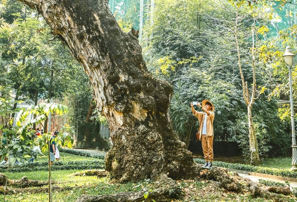 Nghi le cang dai, het le cang ue oai hinh anh