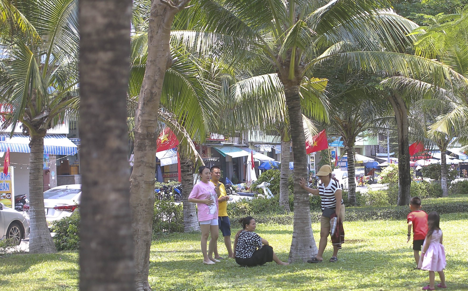 Du lich Quy Nhon,  Du lich Da Nang anh 1